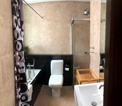 Mill Point (D10), Apartment #560982761
